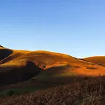 Sunnyside 게스트하우스 4*
